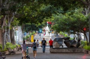 Lorbeerbaeume rambla