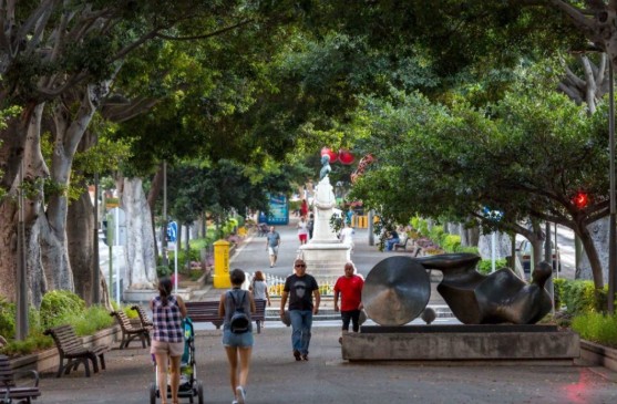 Lorbeerbaeume rambla