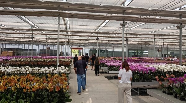 Messe China Blumen 2