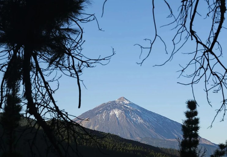 Teneriffa: 80 weitere Arthropoden-Arten im Teide-Nationalpark entdeckt 1 Teide