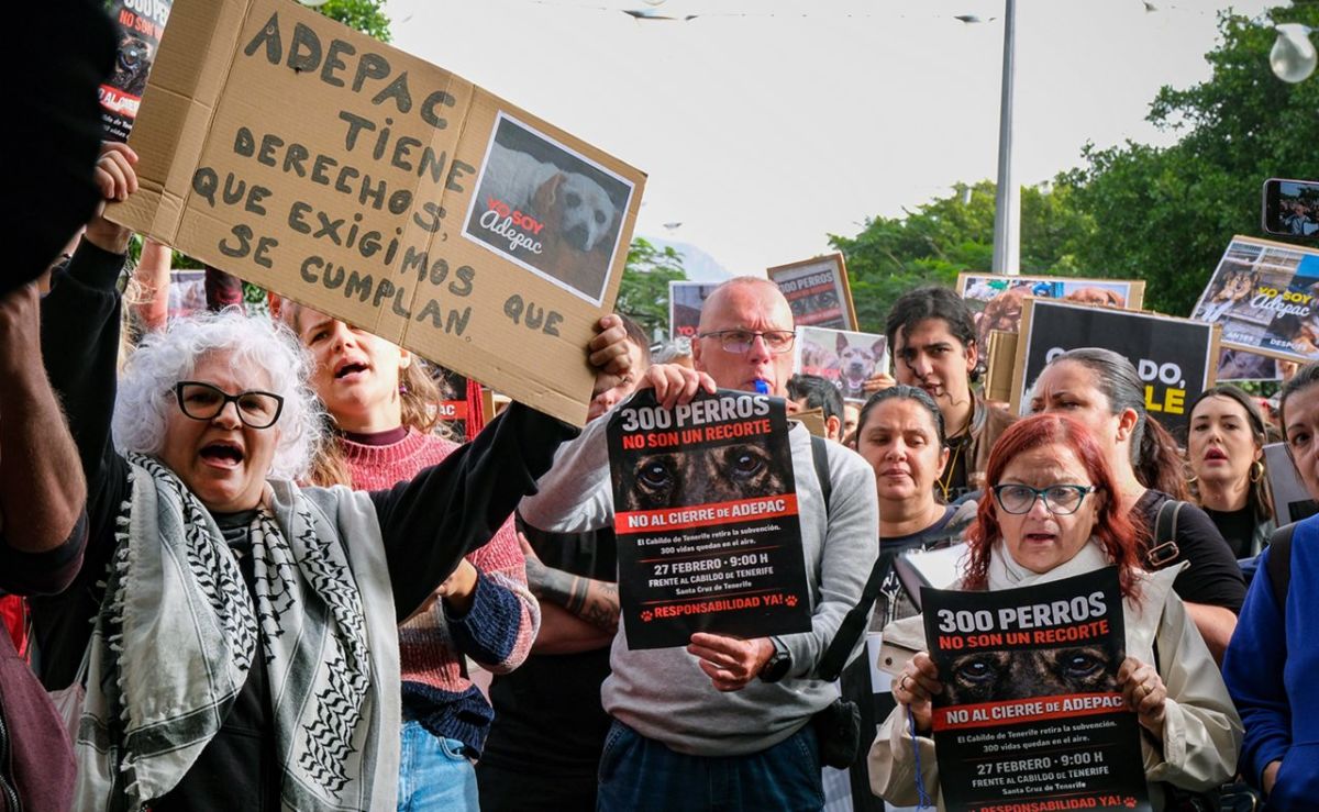 Teneriffa-Nord, Santa Cruz: ADEPAC demonstriert erneut für das Tierheim 1 Tierschutz