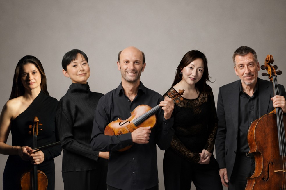 Viola fest