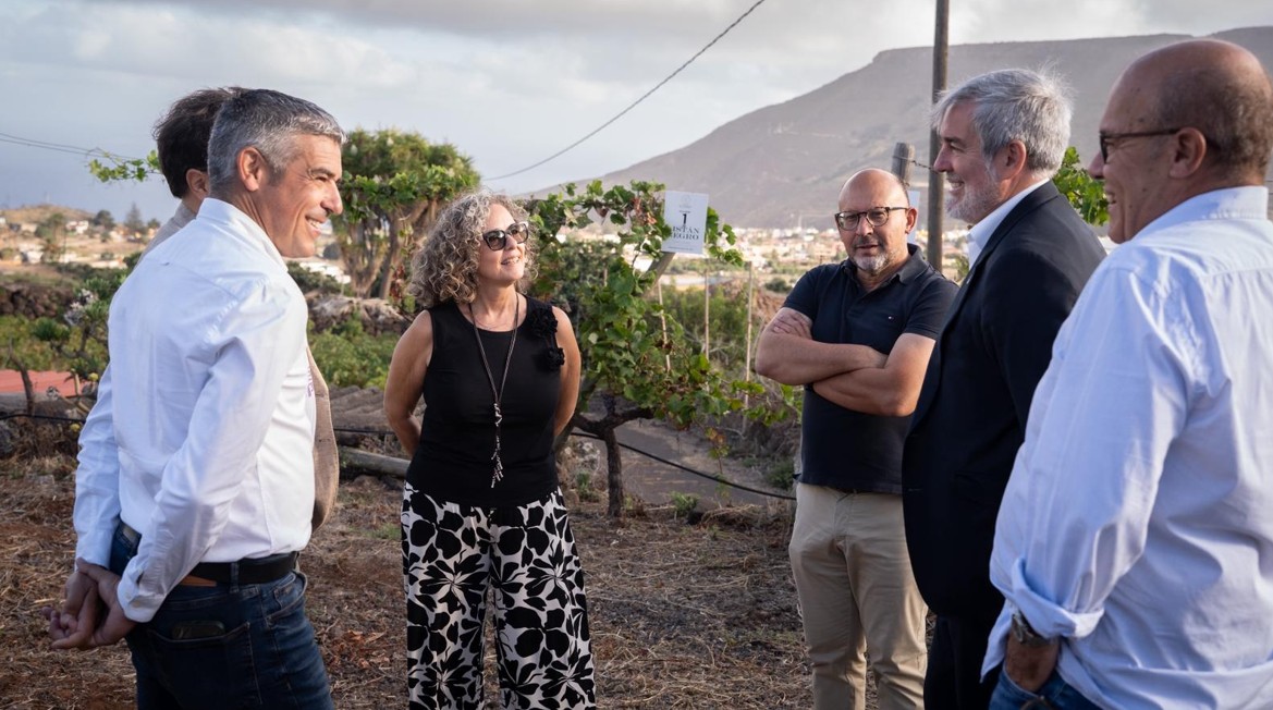 Visita Bodegas el lomo