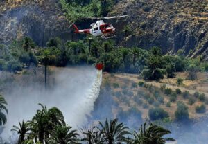 Gran Canaria: Waldbrand 1 Waldbrand 2