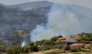 Gran Canaria-Ost, Telde: Waldbrand stabilisiert 5 Waldbrand ESTE ESTE ESTE