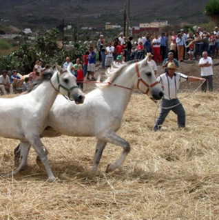 dia de la trilla el palmar