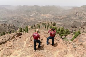 waldbrandgefahr gran canaria