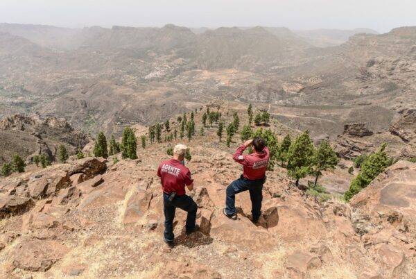 waldbrandgefahr gran canaria