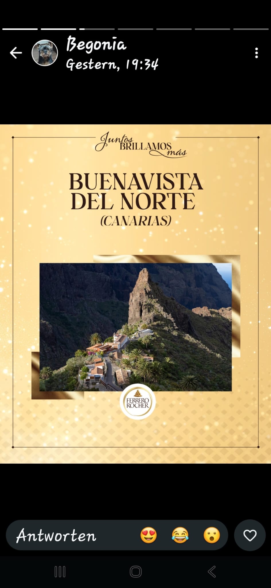 Teneriffa Nordwest, Buenavista del Norte: Fererro-Weihnacht? 1 Buenavista