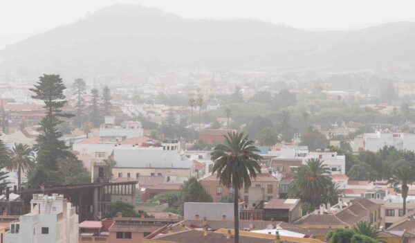 Calima 5