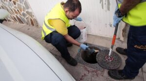 Teneriffa-Nordost, Santa Cruz: Schädlingsbekämpfung 86 Control de plagas
