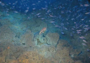 El Hierro, La Restinga: Erinnerung an den Unterwasservulkan 18 El Hierro