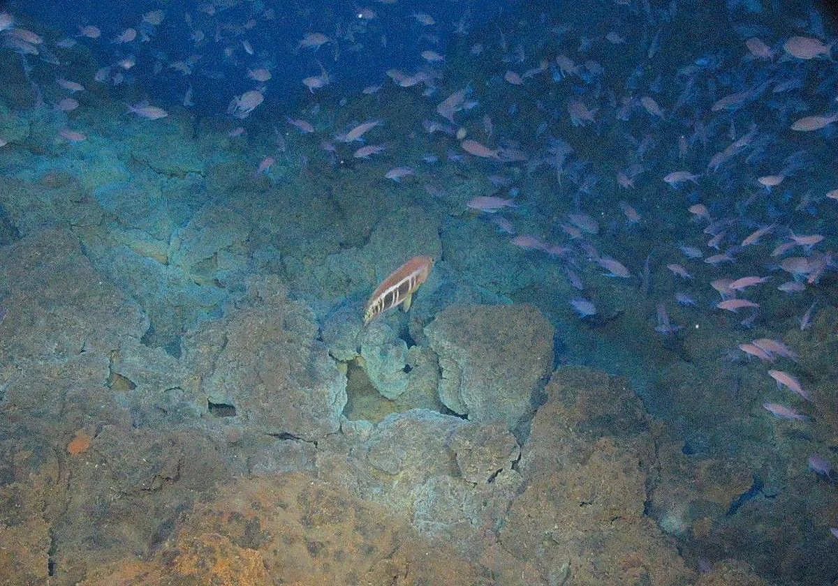 El Hierro, La Restinga: Erinnerung an den Unterwasservulkan 1 El Hierro