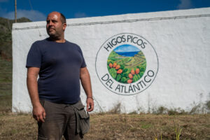 Teneriffa-Nordwest, Buenavista del Norte: Die Kaktusfeige als Einnahmequelle 9 Feigen