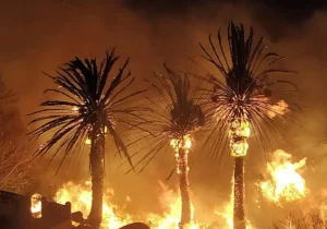 Gran Canaria-Mitte, San Bartolomé de Tirajana: Urteil wegen Brandstiftung 5 Feuer GC