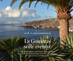 La Gomera, San Sebastián: Schöner Zeitungsbericht 15 La Gomera