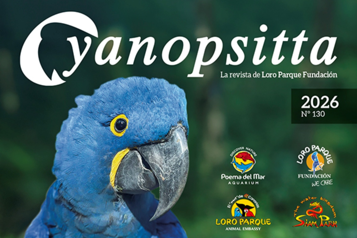 Kanarische Inseln: <em>Loro Parque</em> Hauszeitung erscheint 1 Loro 1