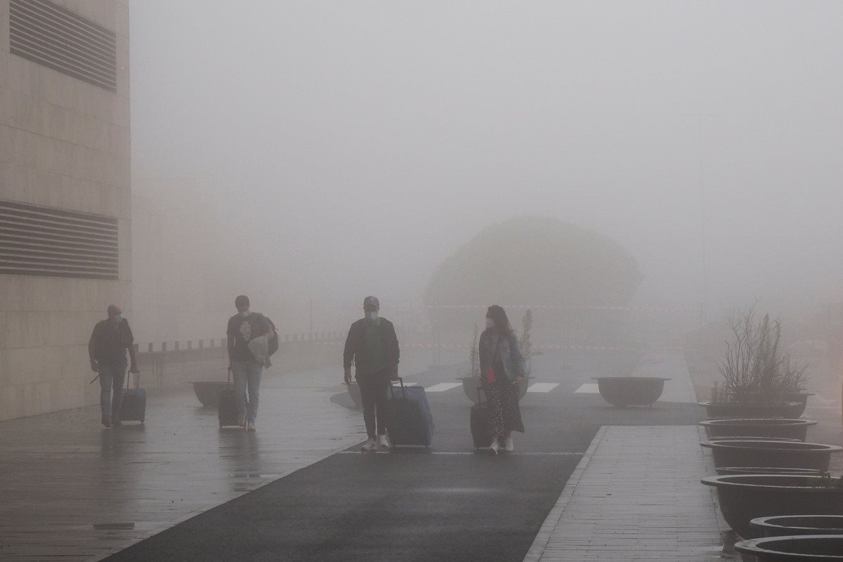 Nebel en Tenrife Norte