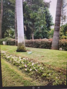 Teneriffa-Nordost, Santa Cruz: Erneut Vandalen im Park 6 Park