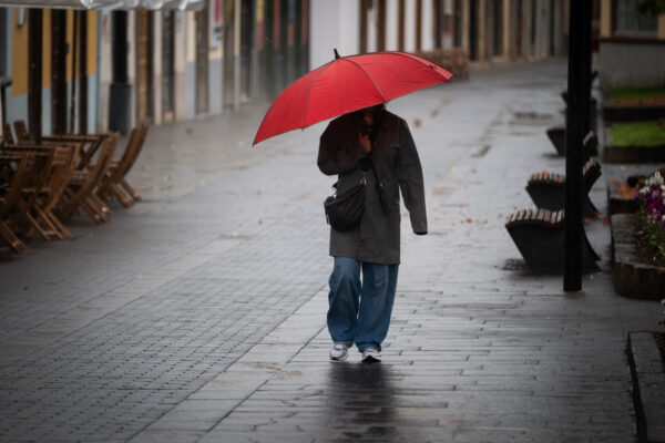Regen 1