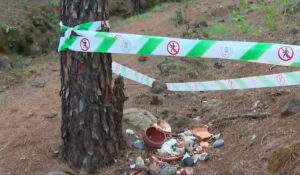 Teneriffa-Süd, Guía de Isora: Furchtbare Tieropferrituale 12 Ritual