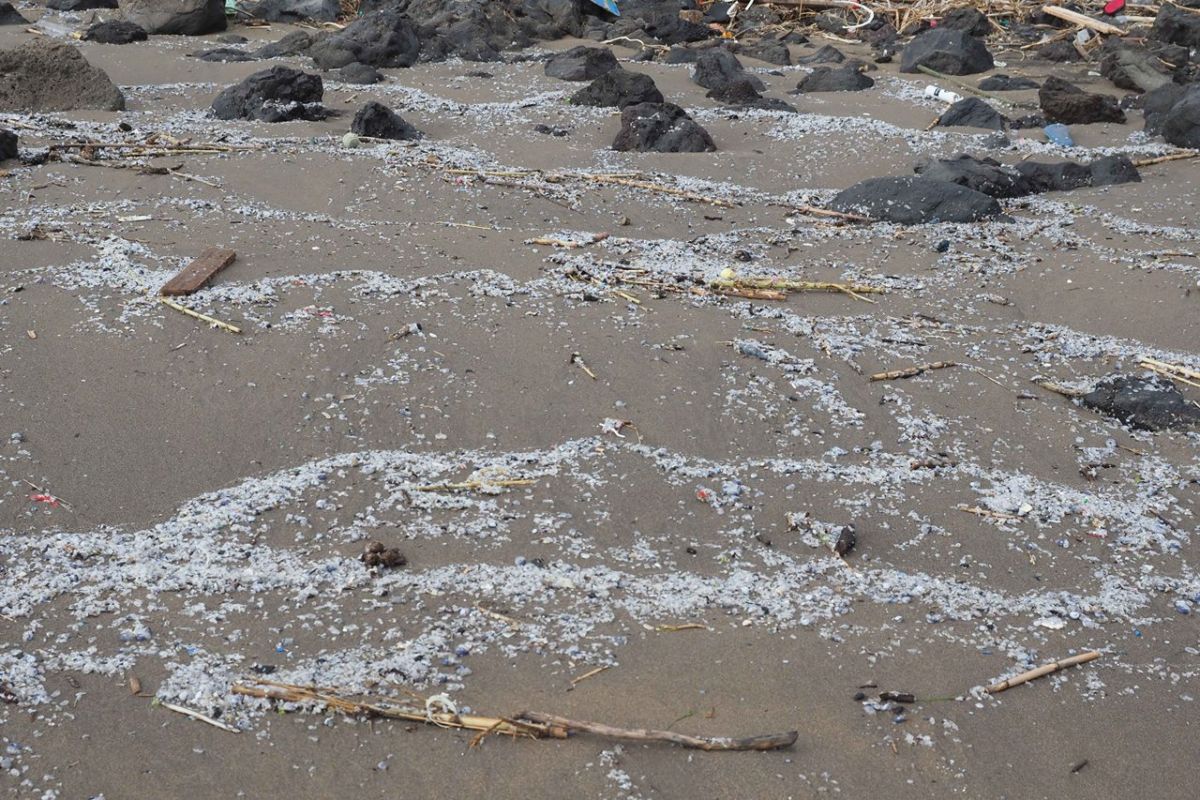 Strand Muell