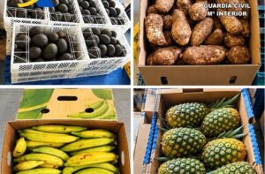 Teneriffa-Nordost, Santa Cruz: Tropische Früchte illegal eingeführt 54 Suedfruechte