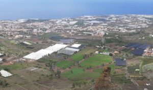 Teneriffa-Nord, Tejina: Fliegenalarm 3 Tejina