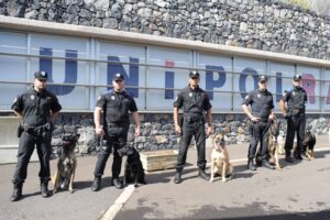 Teneriffa-Nordost, Santa Cruz: Sondereinheit der Polizei 31 Unipol