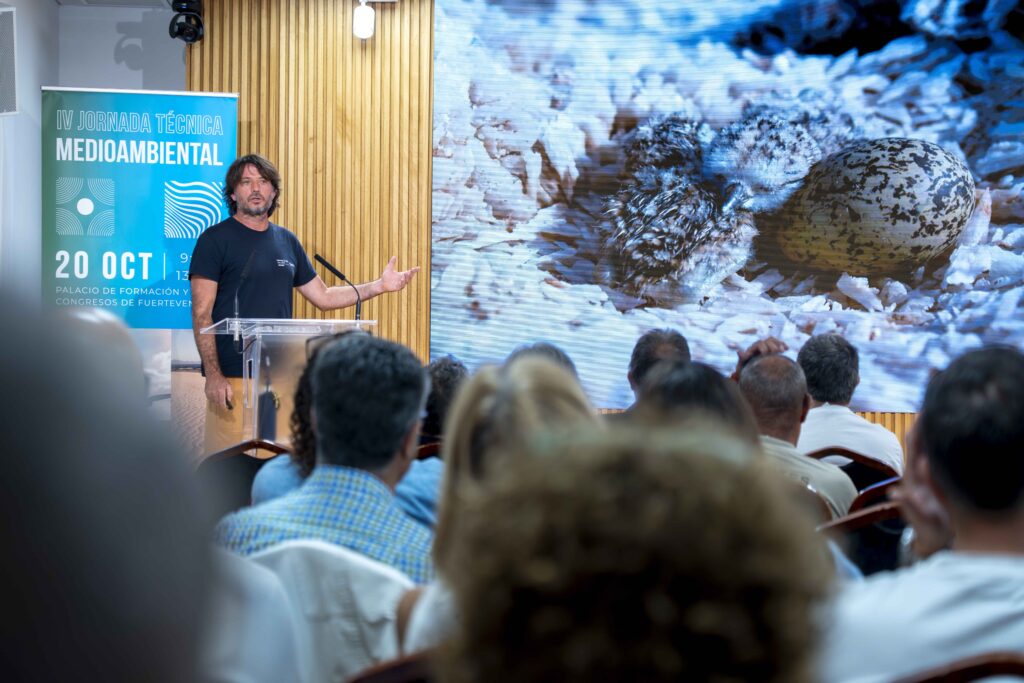 Fuerteventura, Puerto del Rosario: Fachtagung für Ornitologen 95 Voegel FT